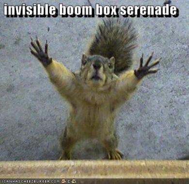 funny-pictures-say-anything-squirrel